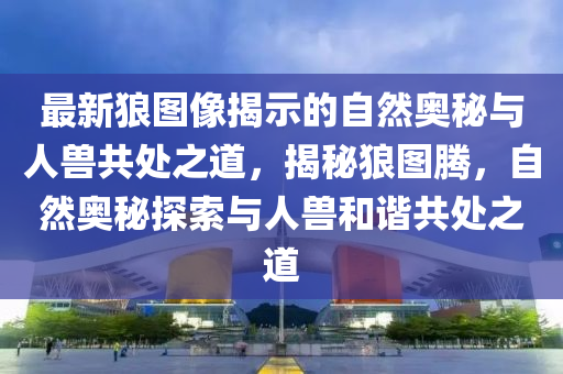 最新狼圖像揭示的自然奧秘與人獸共處之道，揭秘狼圖騰，自然奧秘探索與人獸和諧共處之道山東水清源環(huán)保科技有限公司
