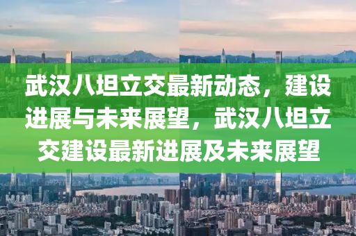 武漢八坦立交最新動(dòng)態(tài)，建設(shè)進(jìn)展與未來展望，武漢八坦立交建設(shè)最新進(jìn)展及未來展望山東水清源環(huán)?？萍加邢薰? class=