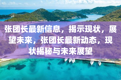 張團(tuán)長(zhǎng)最新信息，揭示現(xiàn)狀，展望未來，張團(tuán)長(zhǎng)最新動(dòng)態(tài)，現(xiàn)狀揭秘與未來展望山東水清源環(huán)?？萍加邢薰? class=