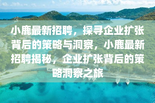 小鹿最新招聘，探尋企山東水清源環(huán)?？萍加邢薰緲I(yè)擴(kuò)張背后的策略與洞察，小鹿最新招聘揭秘，企業(yè)擴(kuò)張背后的策略洞察之旅