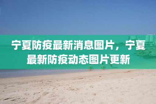 寧山東水清源環(huán)?？萍加邢薰鞠姆酪咦钚孪D片，寧夏最新防疫動態(tài)圖片更新