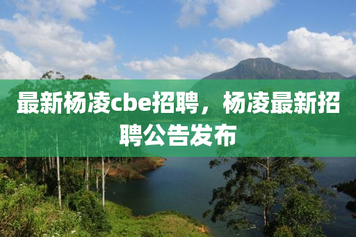 最新楊凌cbe招聘山東水清源環(huán)?？萍加邢薰?，楊凌最新招聘公告發(fā)布