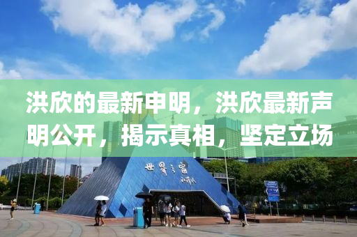 洪欣的最新申明，洪欣最新聲明公開，揭示真相，堅(jiān)定立場(chǎng)山東水清源環(huán)?？萍加邢薰? class=
