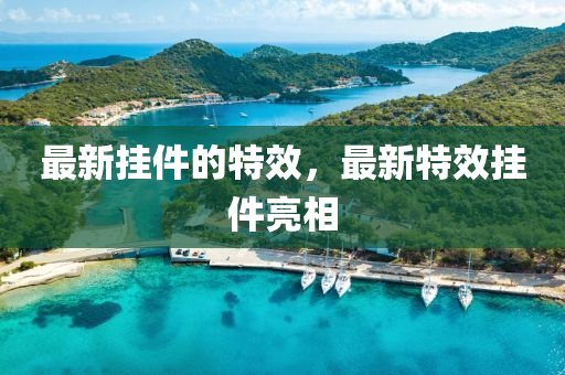 最新山東水清源環(huán)?？萍加邢薰緬旒奶匦?，最新特效掛件亮相