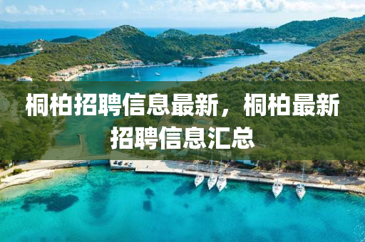 桐柏招聘山東水清源環(huán)?？萍加邢薰拘畔⒆钚拢┌刈钚抡衅感畔R總