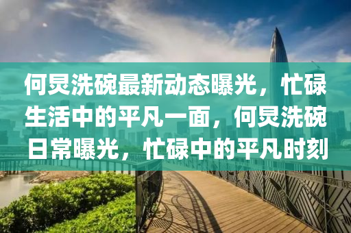 何炅洗碗最新動態(tài)曝光，忙碌生活中的平凡一面，何炅洗碗日常曝光，忙碌中的平凡時刻山東水清源環(huán)?？萍加邢薰? class=