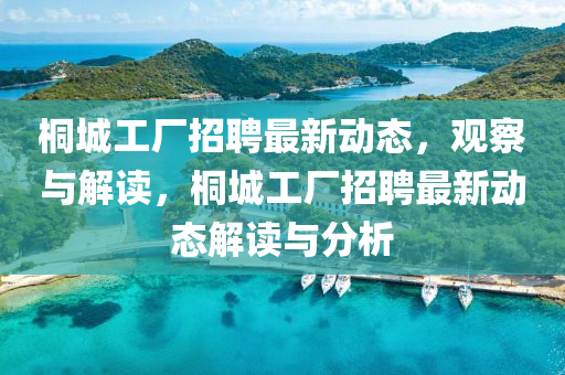 桐城工廠招聘最新動(dòng)態(tài)，觀察與解讀，桐城工廠招聘最新動(dòng)態(tài)解讀與分析