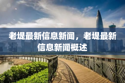 老堤最新信息新聞，老堤最新信息新聞概述